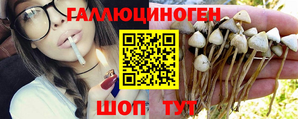 Галлюциногенные грибы Psilocybe  Галлюциногенные грибы Psilocybe  Вход с VPN  Ярцево 